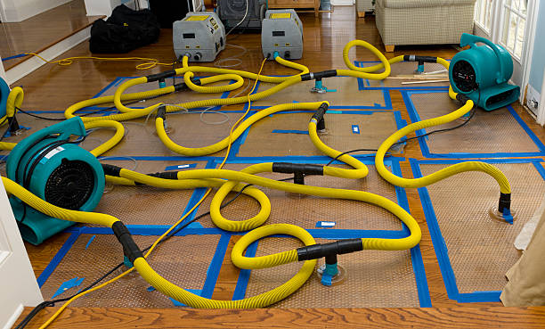Professional Sewage Cleanup technician working in Woburn, MA
